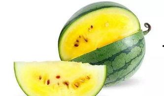 带你吃瓜搞笑菜名,带你品尝“带你吃瓜搞笑菜名”大餐