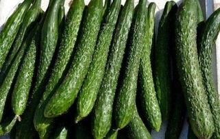 吃兰瓜会减肥吗,吃兰瓜真的能减肥吗？