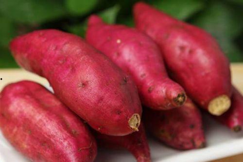 皮炎可以吃土瓜不,天然食材的神奇疗效