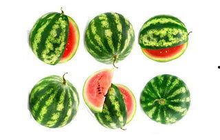 西园丽景吃瓜,夏日吃瓜盛宴，畅享清凉时光