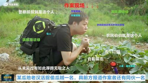 犯人吃瓜,犯人吃瓜引发的悬疑风云