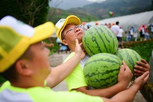 崇文楼吃瓜,吃瓜群众的欢乐聚集地