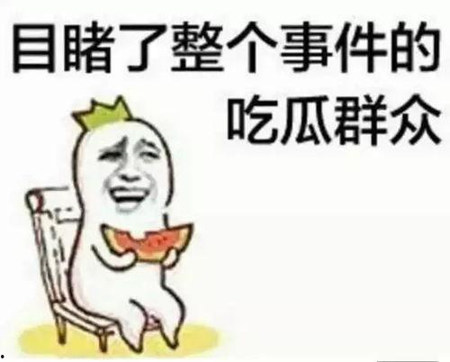 吃瓜群众邹小胖,揭秘娱乐圈幕后故事