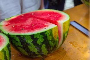 浙农大学吃瓜,吃瓜群众眼中的校园生活剪影