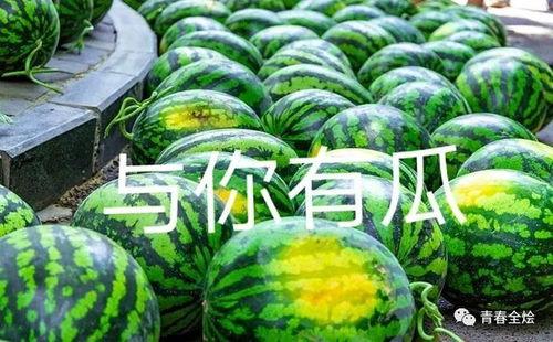 浙农大学吃瓜,吃瓜群众眼中的校园生活剪影