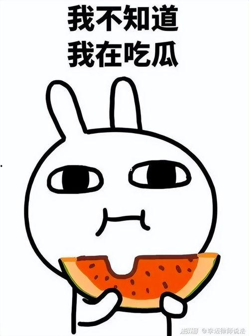 瓜瓜吃瓜简析,揭秘娱乐圈幕后故事