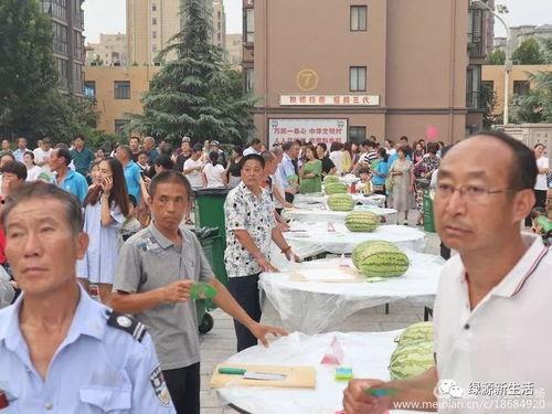 追星吃瓜现场基地,粉丝狂欢背后的故事