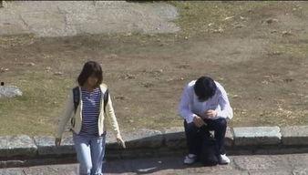 借钱吃瓜,揭秘网络借贷背后的风险与诱惑