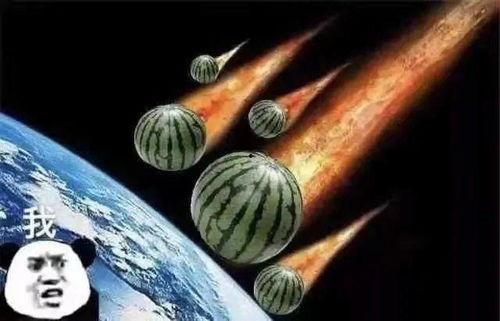 含蓄的吃瓜文案,揭秘那些含蓄的吃瓜瞬间