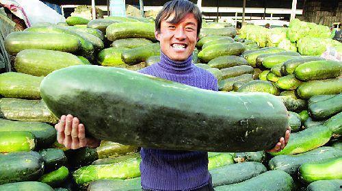 吃内脏的那个瓜,吃内脏背后的健康之谜与争议