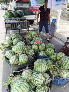 文山热门吃瓜事件,揭秘近期热门吃瓜事件背后的真相