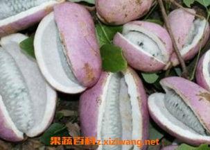 恩施板桥小区吃瓜,吃瓜群众见证社区生活百态