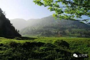 恩施板桥小区吃瓜,吃瓜群众见证社区生活百态