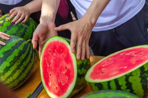 吃瓜小熊深圳大学,深圳大学校园生活趣事集锦