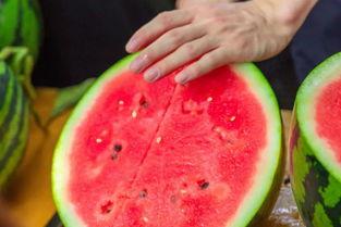 吃瓜小熊深圳大学,深圳大学校园生活趣事集锦