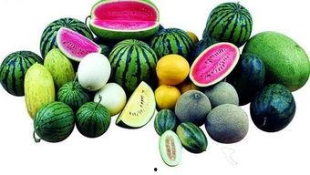 吃瓜弊端,过度关注背后的隐忧