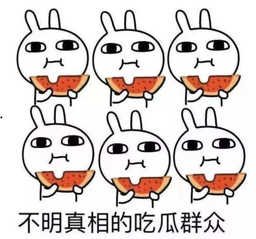 数学吃瓜人,揭秘数字世界的趣味人生