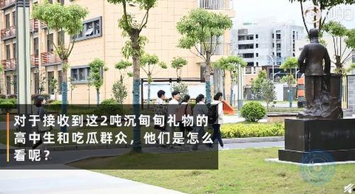 湖南学院吃瓜群众,吃瓜群众热议校园新鲜事