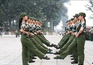 军训跳舞衣服吃瓜,舞动青春,瓜香四溢的集体记忆