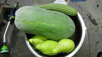 夸克51吃瓜热门