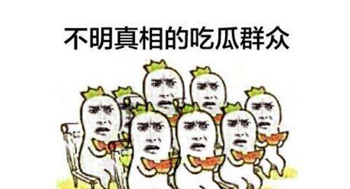 吃瓜群众斗鸡,一场全民参与的趣味盛宴